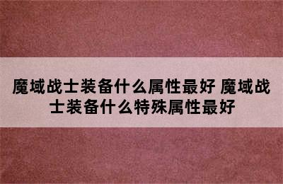 魔域战士装备什么属性最好 魔域战士装备什么特殊属性最好